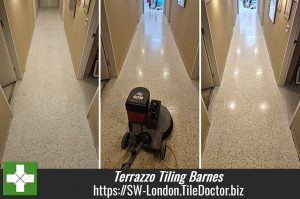 Terrazzo Tile Grout Haze Removal Barnes