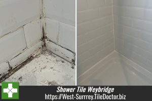 Ceramic Tiled Shower Transformation Weybridge